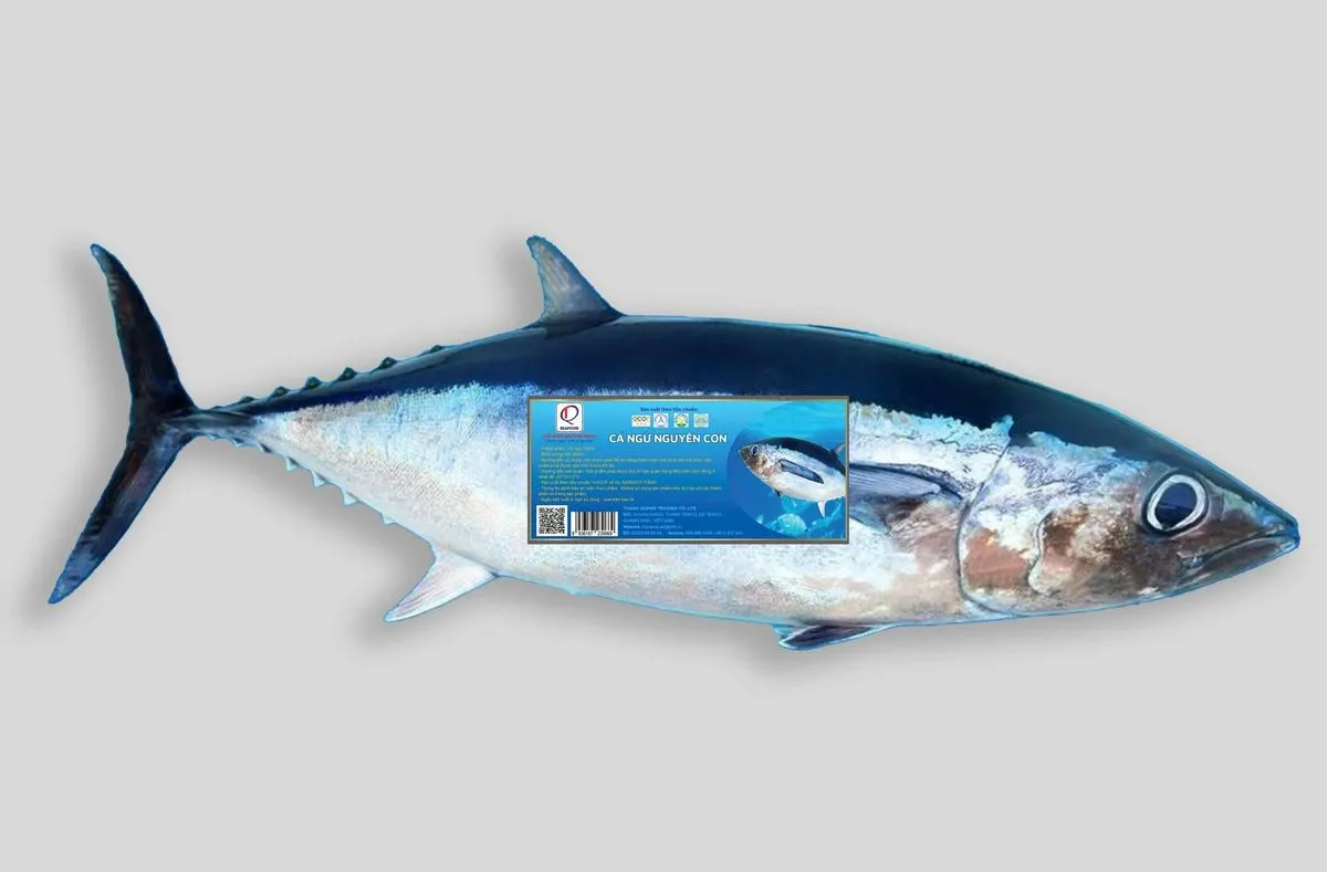 Cá ngừ nguyên con
