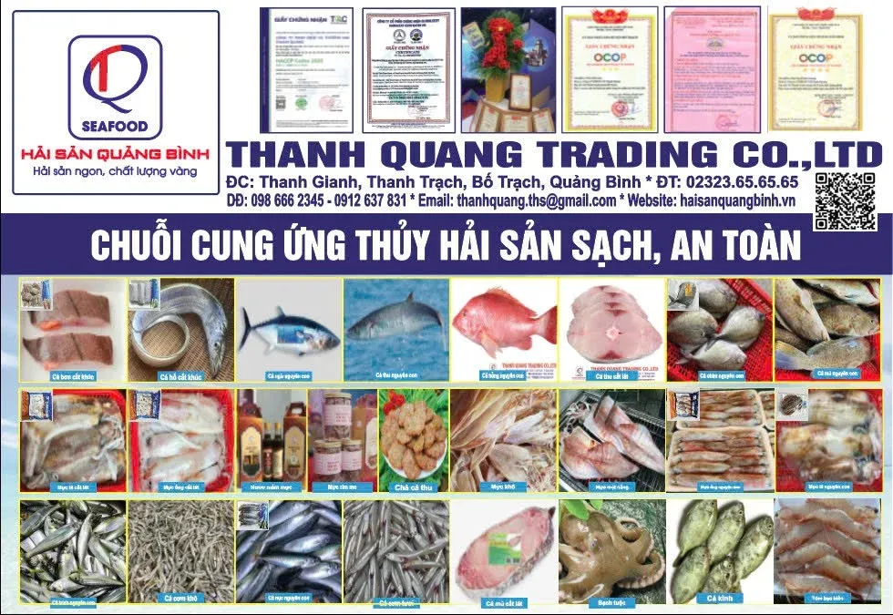 Các sản phẩm hải sản của THANH QUANG: cá, mực, tôm, chả cá thu, nước mắm mực