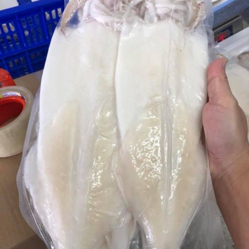 Mực 1 nắng