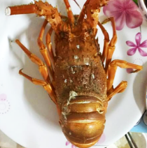 Chị Hằng